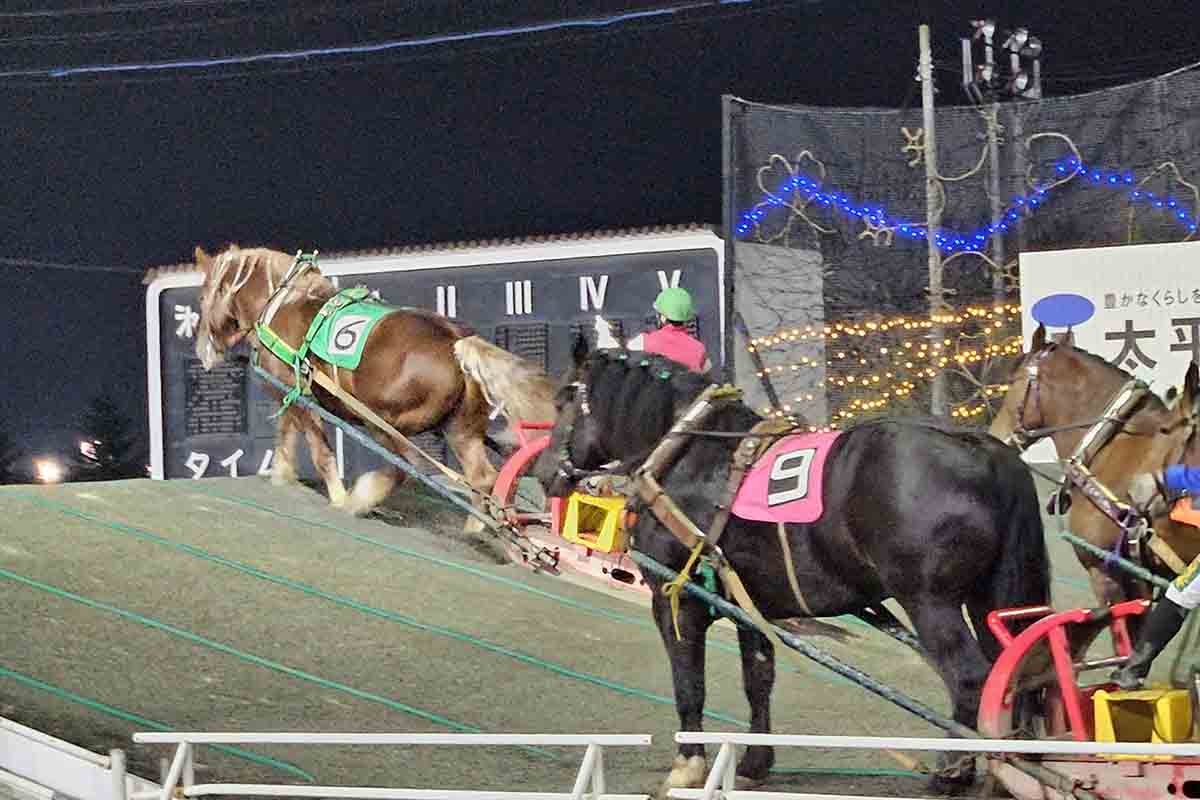 帯広競馬場で開催される「ばんえい競馬」