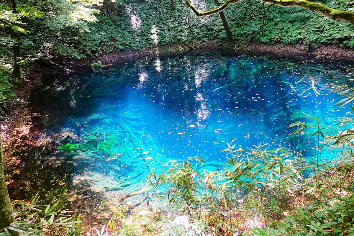 白神山地にある「青池」。12月~3月が冬季閉鎖なので注意