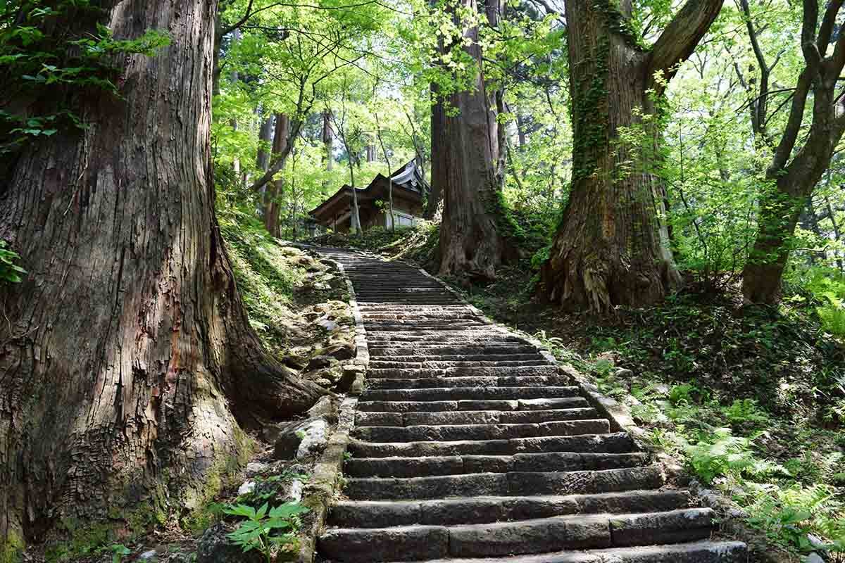 山形県にある「羽黒山」