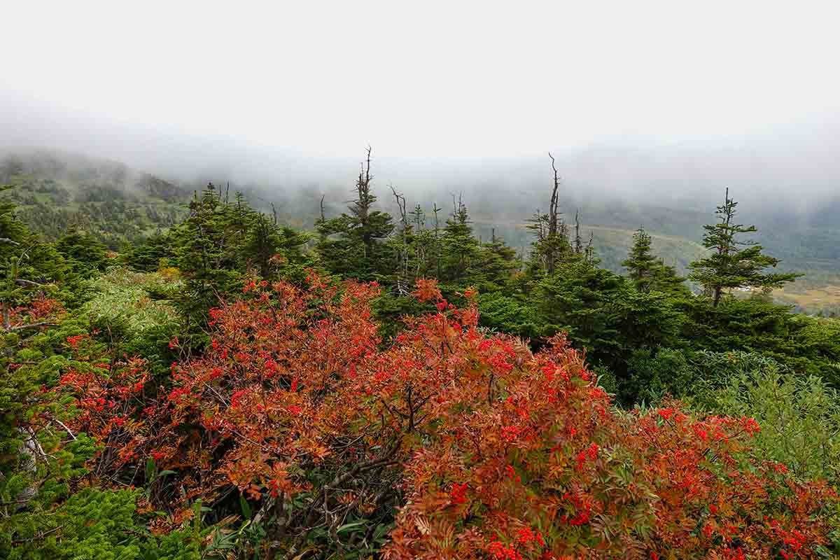 青森「八甲田山」