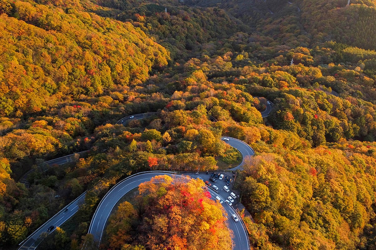 栃木県「日光いろは坂」