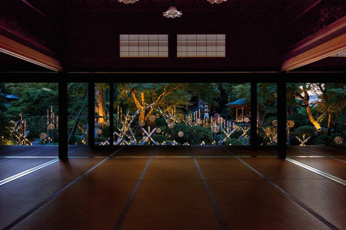 椿寿荘の座敷から眺める竹あかり。歴史ある建築と竹の光が一つの風景をつくる。