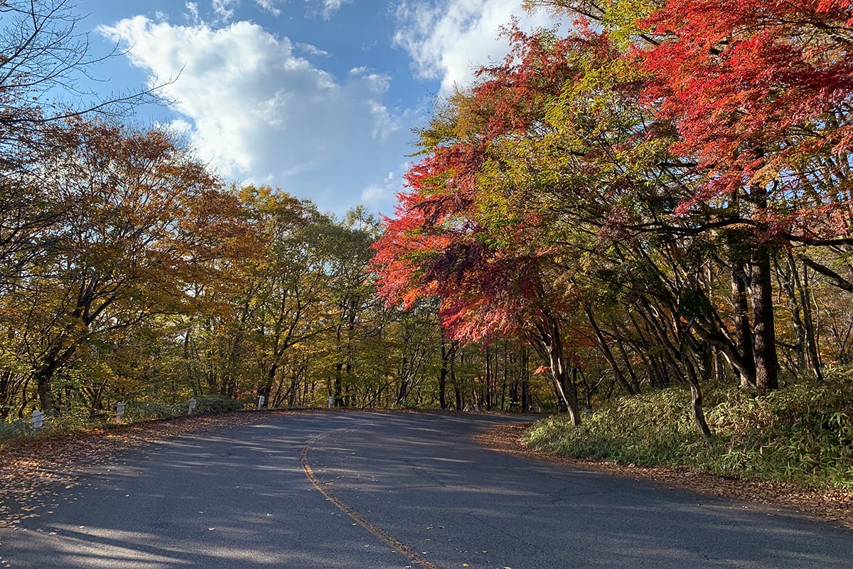 栃木県「日塩もみじライン」