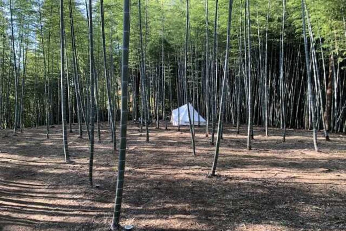 1000平米の竹林をまるごと貸し切るキャンプ場「BAMBOO BASE KATSUURA（バンブーベース勝浦）」