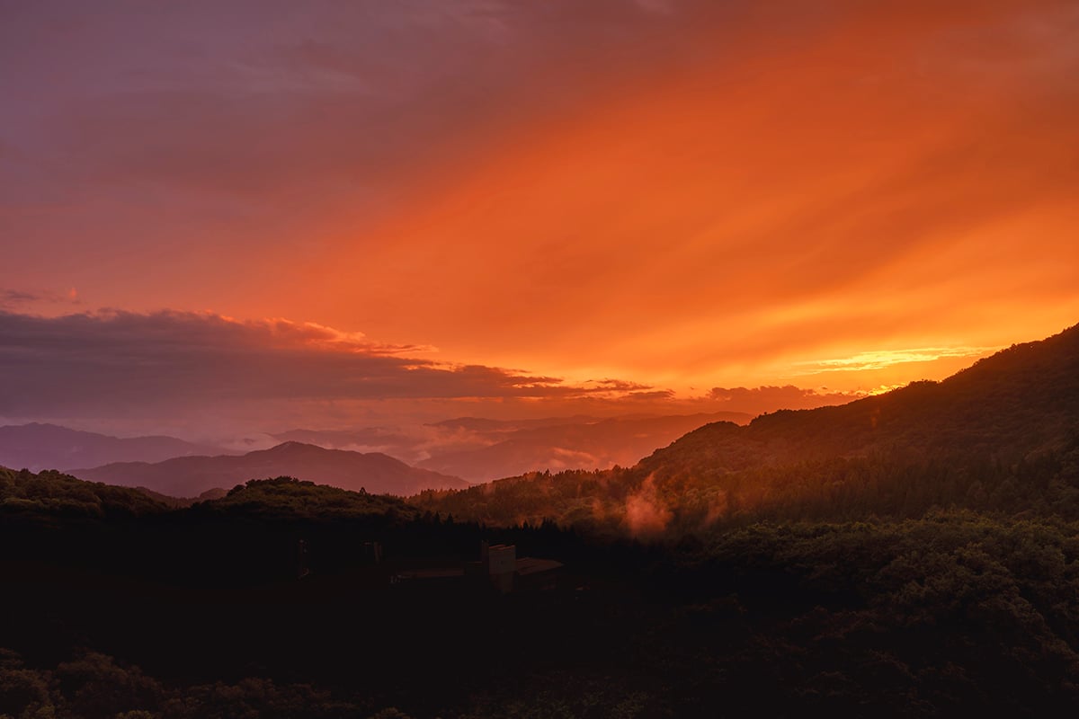 ルーフトップガーデンからのぞむ夕景