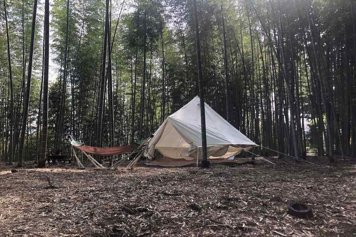 1000平米の竹林をまるごと貸し切るキャンプ場「BAMBOO BASE KATSUURA（バンブーベース勝浦）」