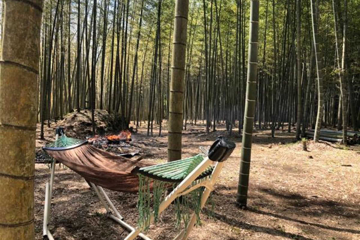 1000平米の竹林をまるごと貸し切るキャンプ場「BAMBOO BASE KATSUURA（バンブーベース勝浦）」